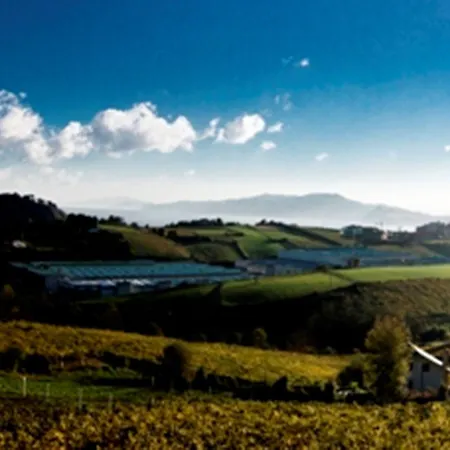 酒店 桑普如登尚酒店 吉塔里亚