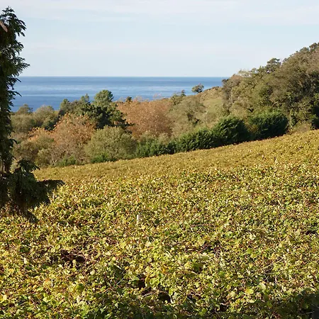 桑普如登尚酒店 2*